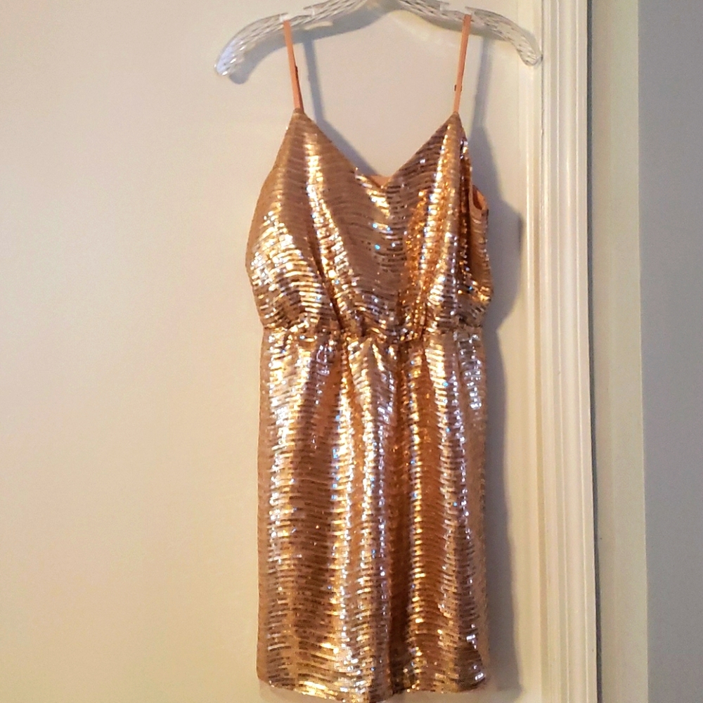 Rose Gold Sequin Dress